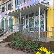 Центральная Городская