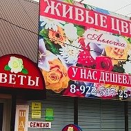 Цветы Курманаевка