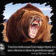 Александр Медведь