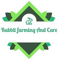 Rabbit Farming