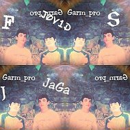 F-s-j-garm Pro