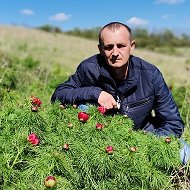 Евгений Ковалев