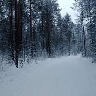 Ольга Степашкина