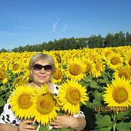 Елена Родькина