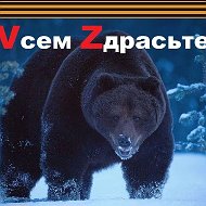 Михаил Меситов