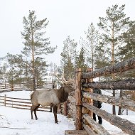 Наталья Сотникова