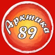 Арктика 89