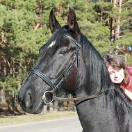 🐎ольга Стадник🐎