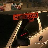 Медведь Ночь