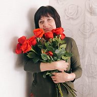 Елена Лапина