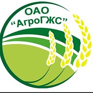 Оао Агрогжс