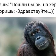 Светлана Просто