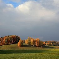 Вилл Алексей