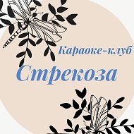 Стрекоза Караоке-клуб