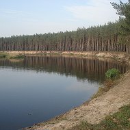 Андрей Городко