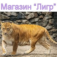 Андрей Терентьев