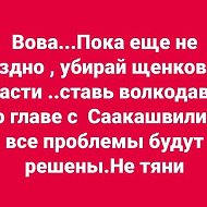 Владислав Потоцкий