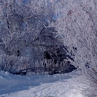 Анастасия Лупенко