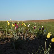 Александр Ушаковский