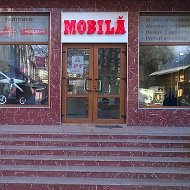 Ergo Mobila