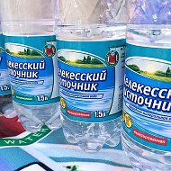 Мелекесский Источник