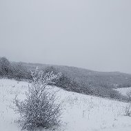 Эхтимал Мусаев