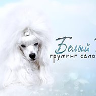 Tatyana Suvorkina🐾белый