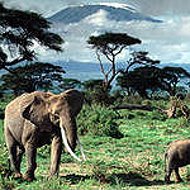 Та Килиманджаро
