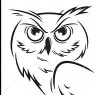 Aniri Owl