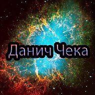 Данич Чека