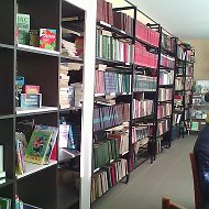 Biblioteca Palanca