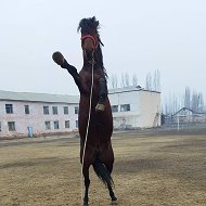 Акмалжон Сатволдиев