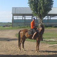 Олег Горшков