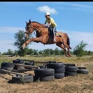 🏇🐴конный Спорт🐴🏇