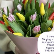 Тюльпаны Гшарыпово