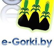E-gorki Интернет-магазин