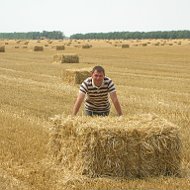 Александр Мещеряков