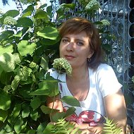 Елена Жиганова