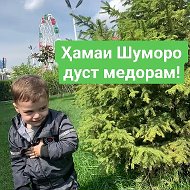 Сарнавишти Зиндаги