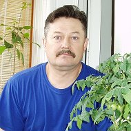 Геннадий Синицын
