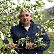 Евгений Серебренников