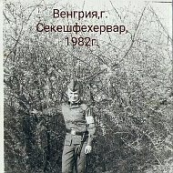 Николай Кнотько