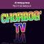 Admin CHoRboG TV