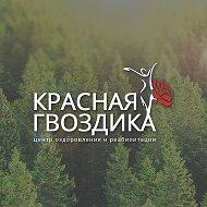 Центр Красная