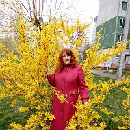 Алла Оситнянко