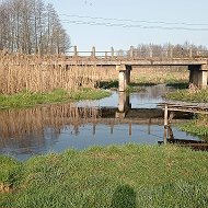 Александр Голохов