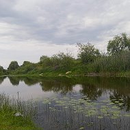 Андрей Сечков