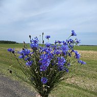 Дарья Ефременко