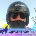 Виктор Мирошников