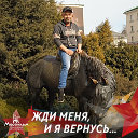 Дмитрий Данилик